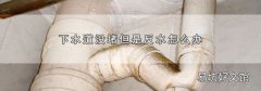 下水道没堵但是反水怎么办