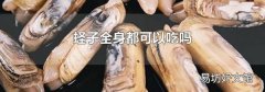 蟶子全身都可以吃嗎