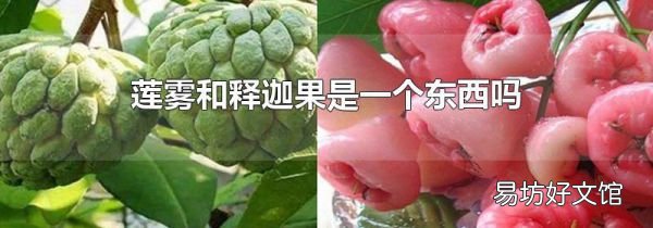 蓮霧和釋迦果是一個東西嗎
