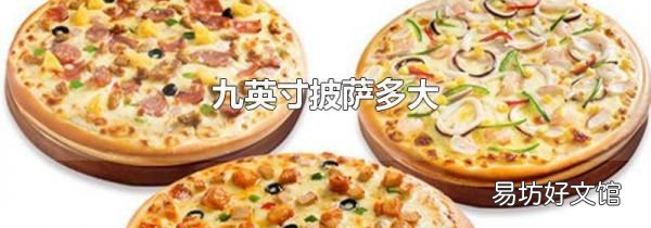 九英寸披萨多大