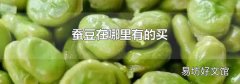 蠶豆在哪里有的買