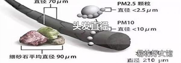 頭發直徑