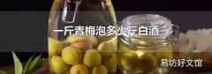 一斤青梅泡多少斤白酒