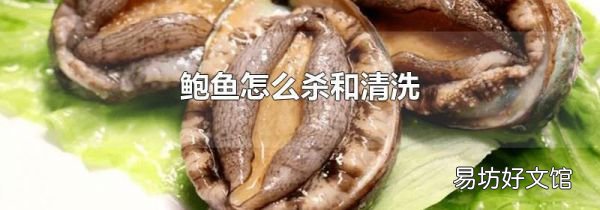 鮑魚怎么殺和清洗