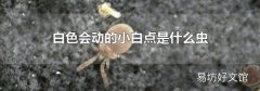 白色会动的小白点是什么虫