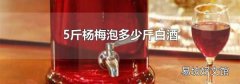5斤杨梅泡多少斤白酒