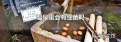 温泉蛋会有细菌吗
