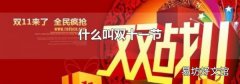 什么叫双十一节