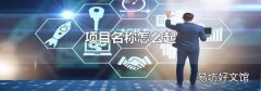 项目名称怎么起