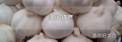 漯河特产
