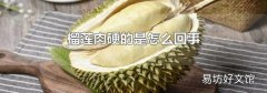 榴莲肉硬的是怎么回事