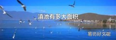 滇池有多大面积