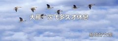 大雁一次飞多久才休息