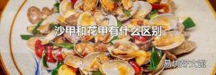 沙甲和花甲有什么区别
