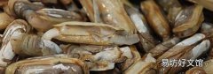海蛏子怎么吐沙