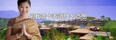刷我滴卡泰语什么意思