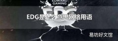 EDG是什么意思网络用语