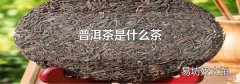 普洱茶是什么茶