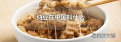 纳豆在中国叫什么