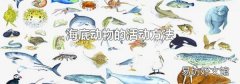 海底动物的活动方法