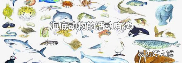 海底动物的活动方法