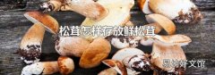 松茸怎样存放鲜松茸