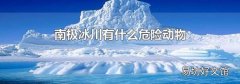 南极冰川有什么危险动物