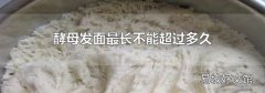 酵母发面最长不能超过多久