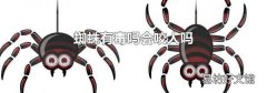 蜘蛛有毒吗会咬人吗