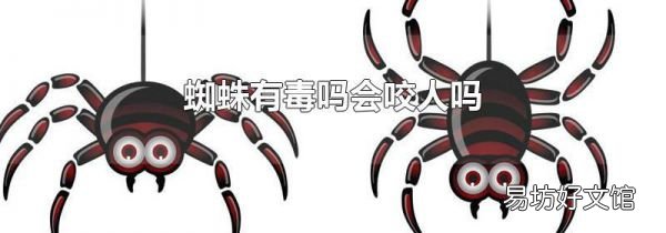 蜘蛛有毒吗会咬人吗