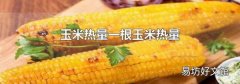 玉米热量一根玉米热量