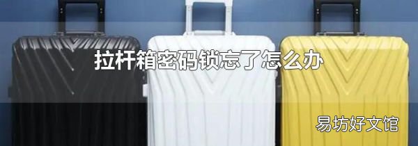 拉杆箱密码锁忘了怎么办