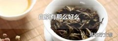白茶有那么好么
