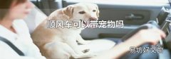 顺风车可以带宠物吗