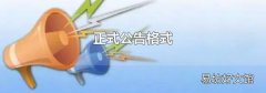 正式公告格式
