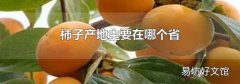 柿子产地主要在哪个省