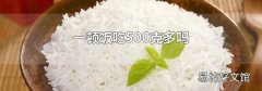 一顿饭吃500克多吗