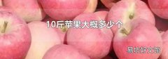 10斤苹果大概多少个