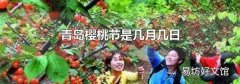 青岛樱桃节是几月几日