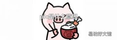 pic是什么意思