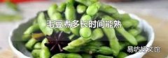毛豆煮多长时间能熟