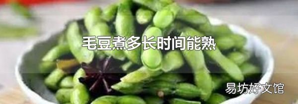毛豆煮多長時間能熟