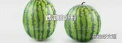 西瓜的外形
