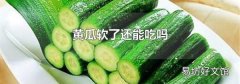 黄瓜软了还能吃吗