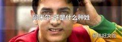 阿米尔·汗是什么种姓