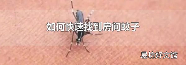 如何快速找到房间蚊子