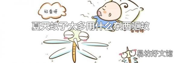 夏天蚊子太多用什么东西驱蚊