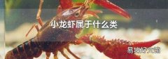 小龙虾属于什么类