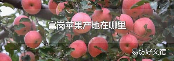 富岗苹果产地在哪里