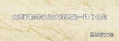 大理石的学名为大理岩是一种什么盐